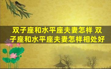 双子座和水平座夫妻怎样 双子座和水平座夫妻怎样相处好